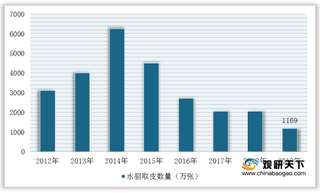 我国水貂行业发展现状：取皮数量逐年下降 山东成为养殖大省