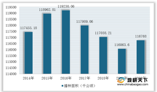 2020年我国大米行业现状及竞争：水稻产量创新高 中小型企业数量众多