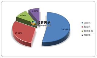 2020年我国肉鸡养殖行业出栏量明显增加 专业化、规模化程度不断提升