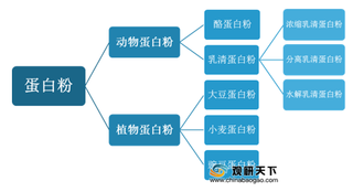 中国蛋白粉市场规模逐年增长 行业持续向好 未来仍有较大发展空间