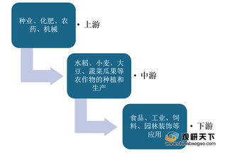 受益政策扶持 我国种业市场规模迎来增长拐点 生物育种将是发展趋势