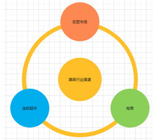 2021年中国蔬菜企业继续拓宽三大渠道 选择多种产品结构