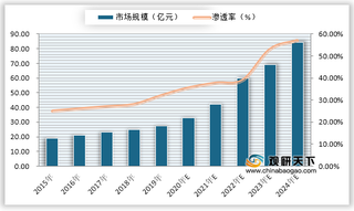 2020年我国洗手液行业市场规模及渗透率占比预测情况