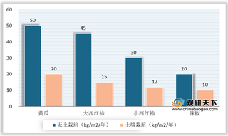 我国无土栽培行业发展迅速 应用领域广泛 蔬菜为主要种植产品