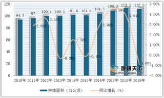 供不应求 我国菠萝产业主要依赖于进口 行业仍需提高国际竞争力