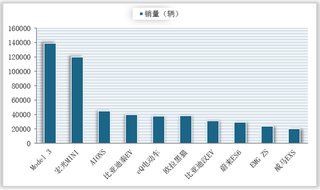 2020年纯电型乘用车重点企业销量及占比情况