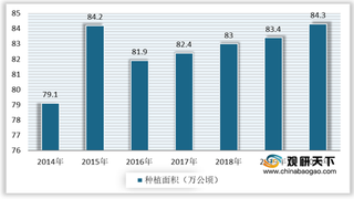 中国成为全球大蒜生产和出口国 产量及出口量呈稳定增长趋势
