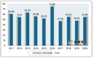 我国蛋鸡行业现状：祖代蛋鸡以国产种类为主 父母代蛋鸡存栏量维稳