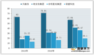 2021年我国IT安全咨询行业竞争现状与主流企业市场占有率分析