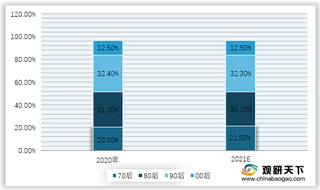 2020-2021年我国互联网用户代际分布预测情况