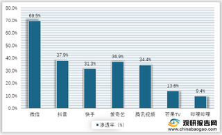 2020年12月中国互联网典型APP渗透率情况