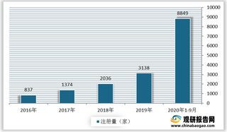 我国托育托管行业规模分析：企业数量及市场规模均呈增长态势