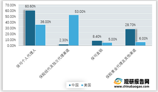 2021年上半年中美两国人身险分渠道保费收入结构对比情况