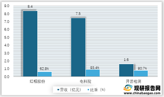 2019年我国电力主设备管理行业中游核心企业营收及业务占比情况