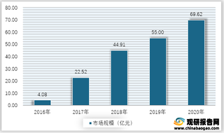 2016-2020年我国自热火锅市场规模情况