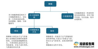 我国非小细胞肺癌靶向药物行业发展现状：需求基数不断增加 推动百亿市场规模扩大