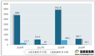 2016-2019年我国低温冷冻和雪灾受灾、绝收面积情况