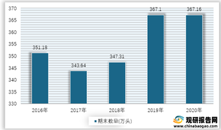 2016-2020年我国马期末数量统计情况