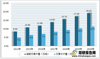 2021年我国艾草市场产量规模不断增长 行业出现一批优秀领先企业