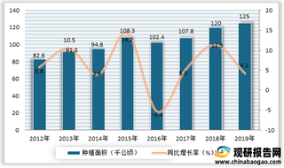 2021年我国草莓种植深加工行业供需情况：供给市场不断扩大