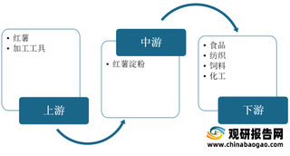 我国红薯淀粉行业现状：产量呈波动态势 泗水利丰为主要生产企业