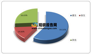 我国残疾人教育行业现状：政策及事业环境良好 各阶段在校人数总体保持增长