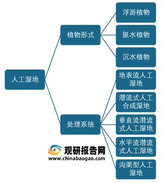我国人工湿地建设现状:国家大力推进 江苏地区表现突出