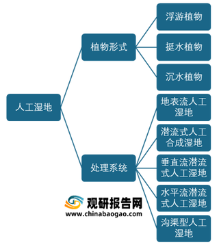 我国人工湿地建设现状：国家大力推进 江苏地区表现突出