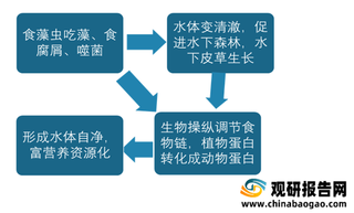 水环境生态治理行业现状分析：国家大力支持 全国黑臭水体恢复率过半