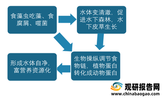 水环境生态治理行业现状分析:国家大力支持 全国黑臭水体恢复率过半