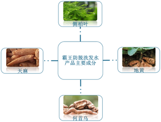 2021年我国防脱洗发水行业现状及前景分析 消费群体广泛驱动市场规模扩大