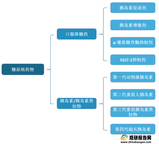 老龄人口增多及肥胖率上升驱动糖尿病药物发展 行业信息化趋势明显