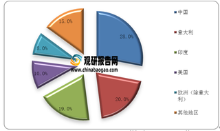 2018年全球主要原料药供应地市场份额占比情况