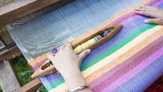 蚕桑基地规模化趋势明显 主要产品产量基本稳定 政策推进茧丝绸行业向高质量发展