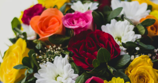 “浪漫经济”带动市场需求 推动玫瑰花产业不断发展