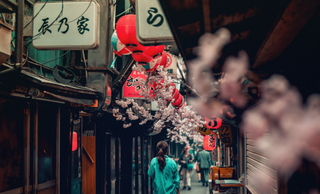 赏花季带动旅游市场回暖  超七成游客倾向于短途旅游