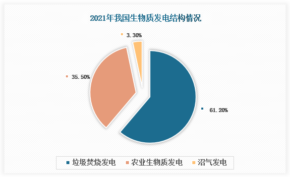 中国生物质能行业发展趋势分析与未来投资预测报告(2022