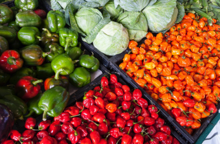 蔬菜行业 6月全国28个蔬菜产品月均地头价1.91元/公斤 环比下降17.0%