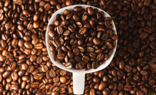 【企业】我国咖啡豆行业相关企业注册情况分析  数量增加  广东相关企业数最多