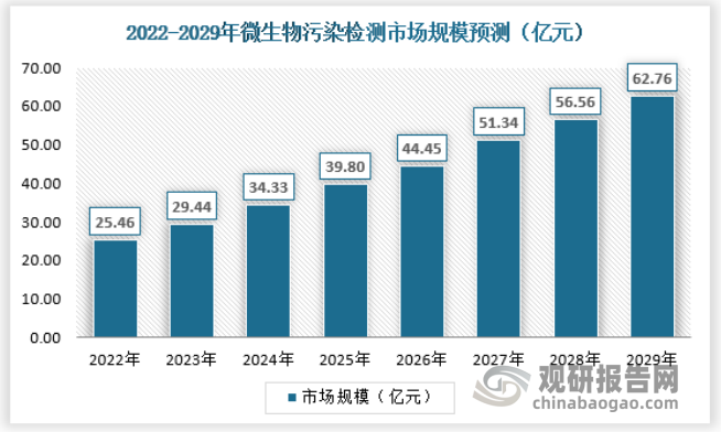 微生物占人体的比重图片