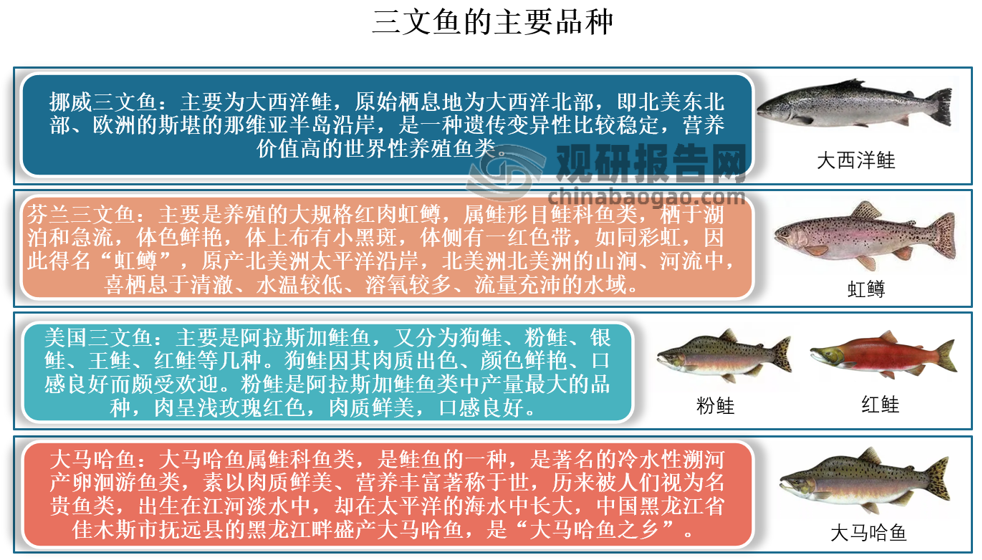 金鳟鱼养殖温度图片