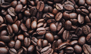 我国咖啡豆行业现状 市场供不应求 进出口呈现出明显“剪刀差”
