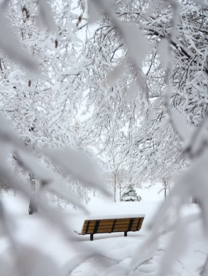 我国冰雪产业现状:“冷资源”带动市场热情持续升温 滑雪是参与度最高运动类型
