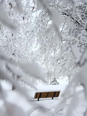 我国冰雪产业现状：“冷资源”带动市场热情持续升温 滑雪是参与度最高运动类型