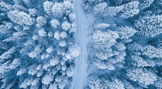 各地纷纷推出冰雪演艺、冰雪主体民宿等活动 冰雪旅游热度不断攀升