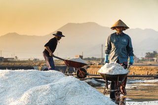 2023年9月我国原盐产量当期值同比增长22.3% 累计值同比增长2.5%