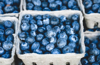 我国蓝莓行业方兴未艾 产量日趋提高 消费市场具有较大增长空间