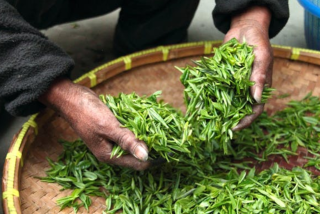 我国绿茶行业产业链分析：中游产销增长逐渐放缓 下游新茶饮等发展正带动消费