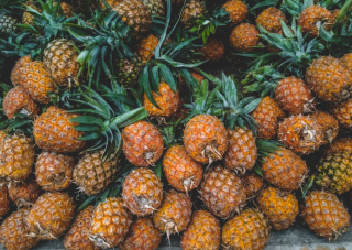 我国菠萝行业：加工市场仍处于初级发展阶段 对外贸易以鲜果进口为主