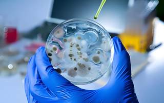 我国海洋生物医药产业增加值稳步增长 行业市场加速扩容